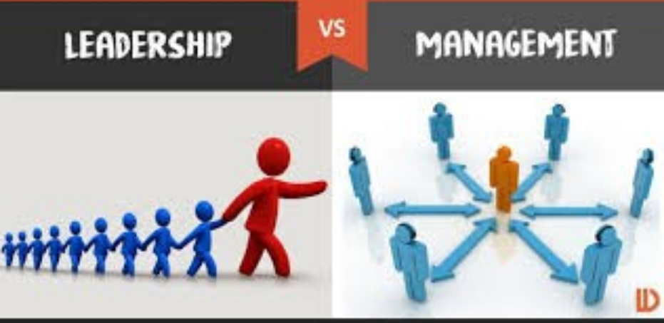 Leadership and Management Gap analysis